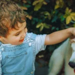 Best Dogs for Kids: Safe and Family-Friendly Breeds