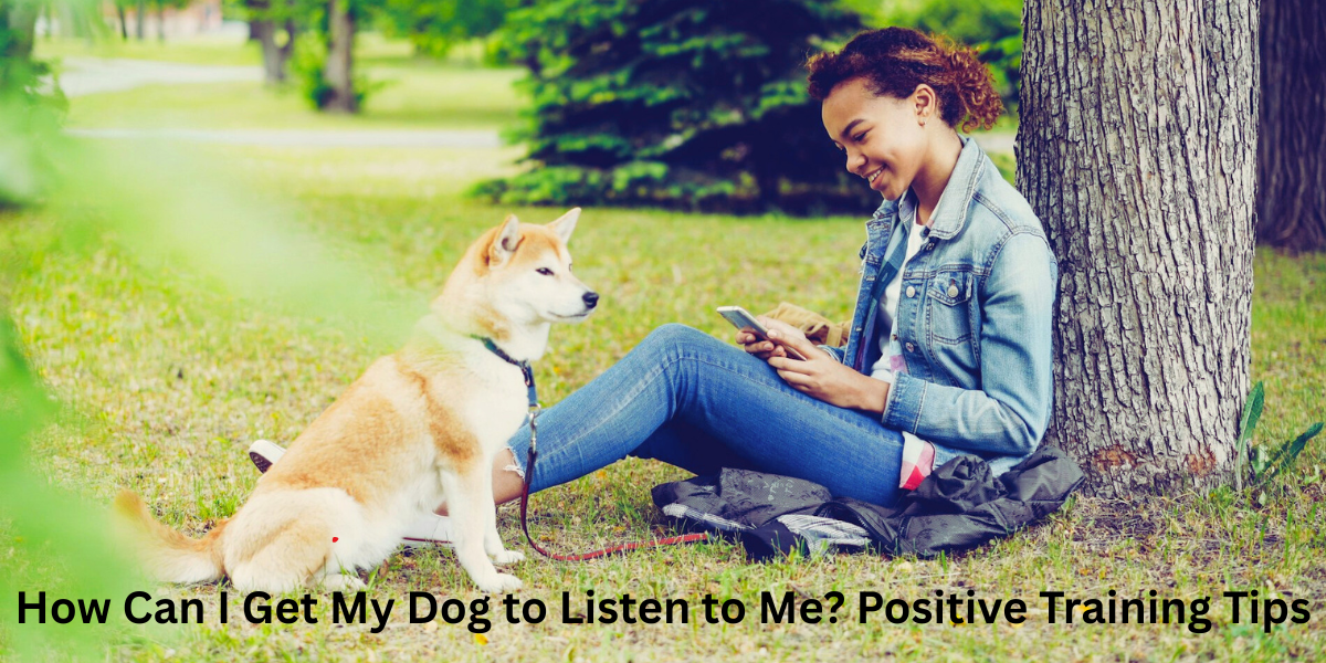How Can I Get My Dog to Listen to Me? Positive Training Tips