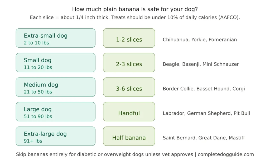 Chart showing safe banana portions for dogs by size, with extra-small dogs getting 1 to 2 slices, small dogs 2 to 3 slices, medium dogs 3 to 6 slices, large dogs a handful, and extra-large dogs up to half a banana, with breed examples for each category