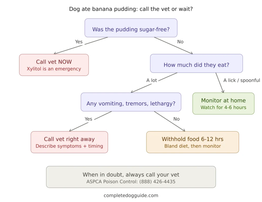 Flowchart guiding dog owners on what to do if their dog ate banana pudding, starting with checking for xylitol in sugar-free pudding, then assessing amount eaten and symptoms to decide between calling the vet or monitoring at home