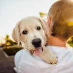How to Take Care of a New Puppy