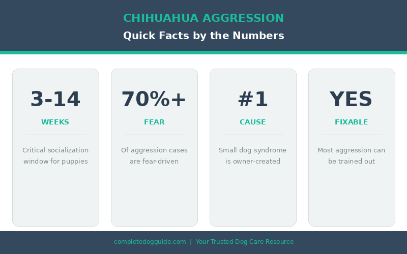Infographic showing chihuahua aggression quick facts including the 3 to 14 week socialization window, 70 percent of cases being fear-driven, small dog syndrome as the number one cause, and that most aggression is fixable with training