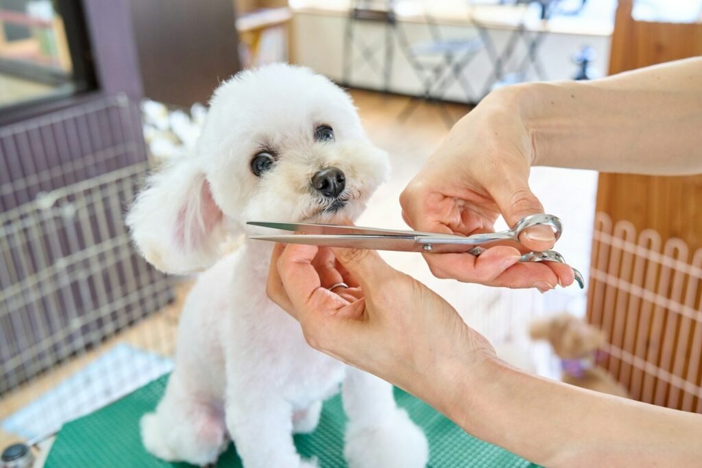 Hand Stripping Tools for Dogs