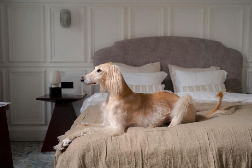 Room-to-Room Scent Trail