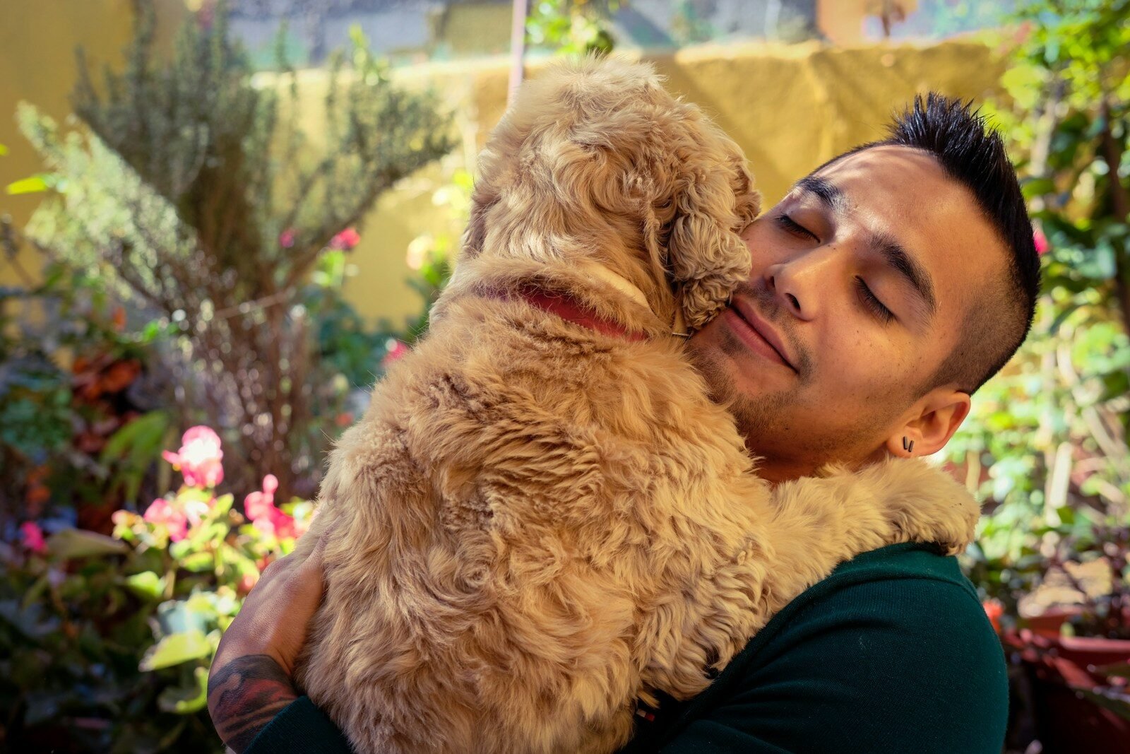 Worried dog owner holding their dog, unsure how to afford vet care