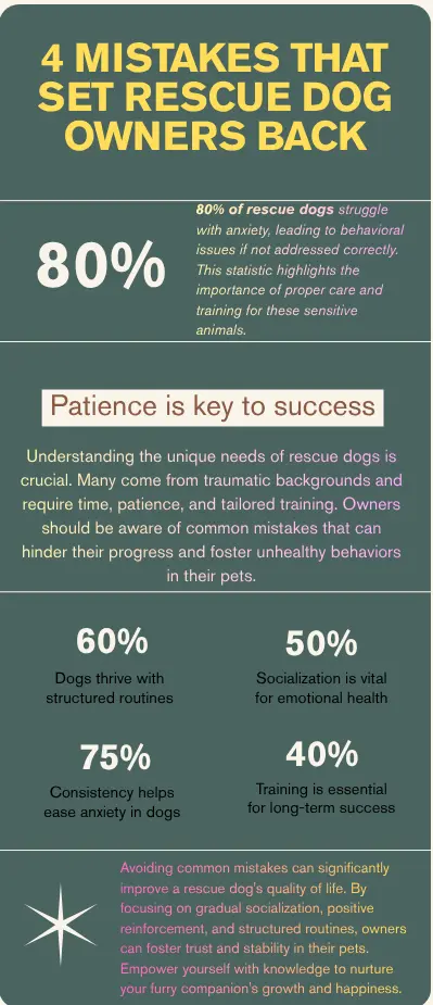 How to Calm an Anxious Rescue Dog: The Plan That Actually Works 13 Infographic showing 4 common mistakes rescue dog owners make with anxious dogs: forcing socialization, punishing fear, waiting it out without a plan, and rushing progress, with a fix for each mistake.